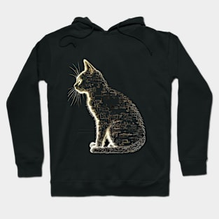 cat sitting in the darkness Hoodie